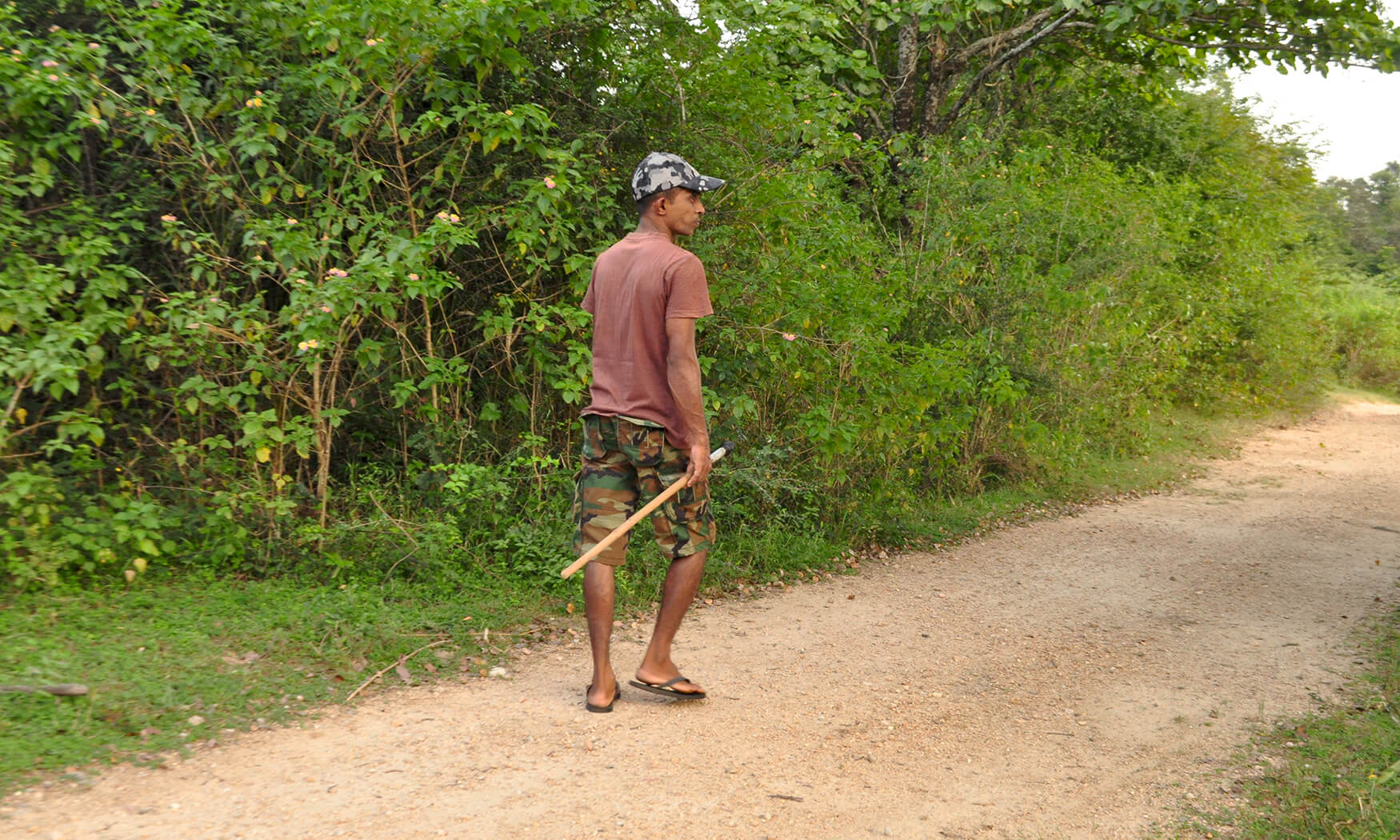 nature walk in sri lanka