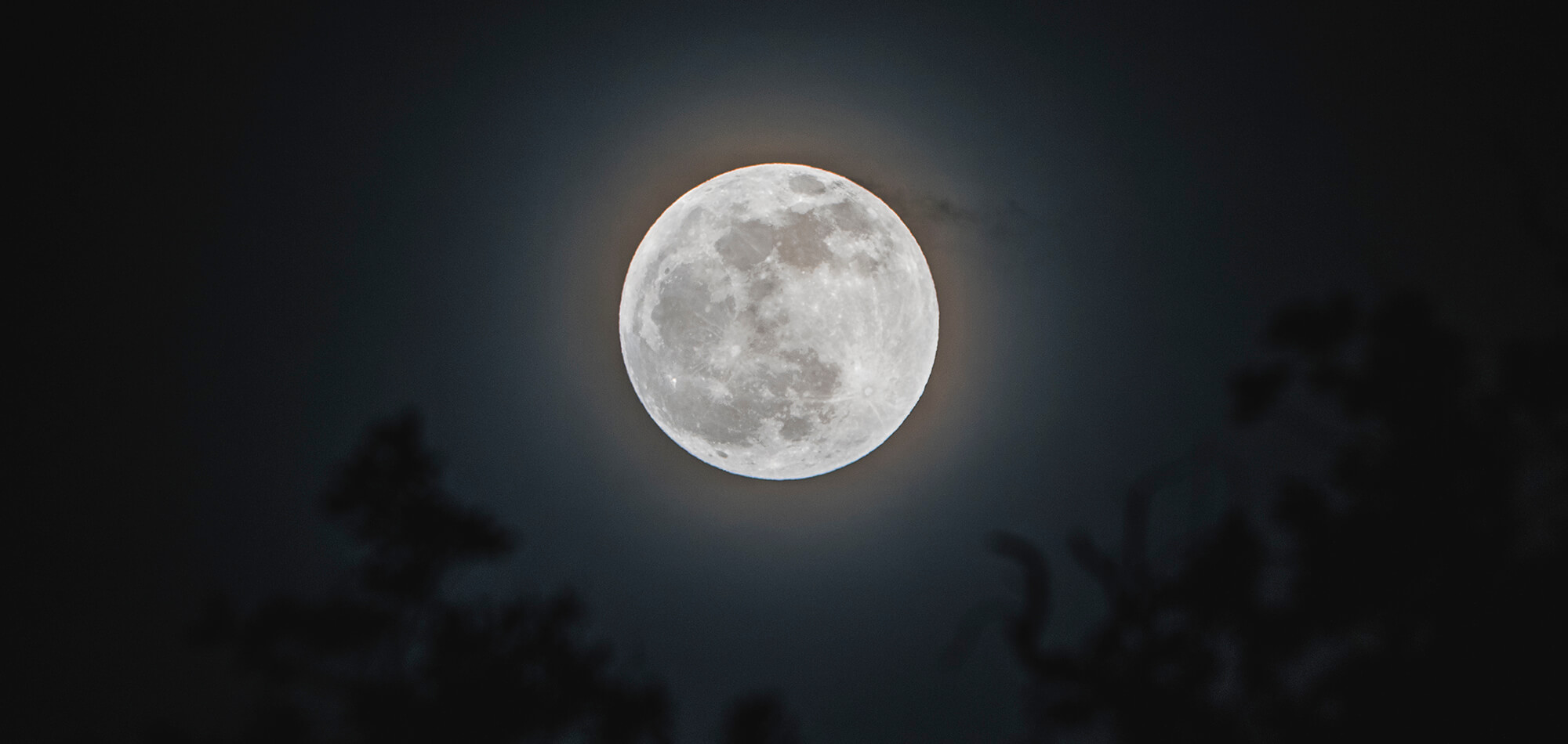 moon in yala national park accommodation