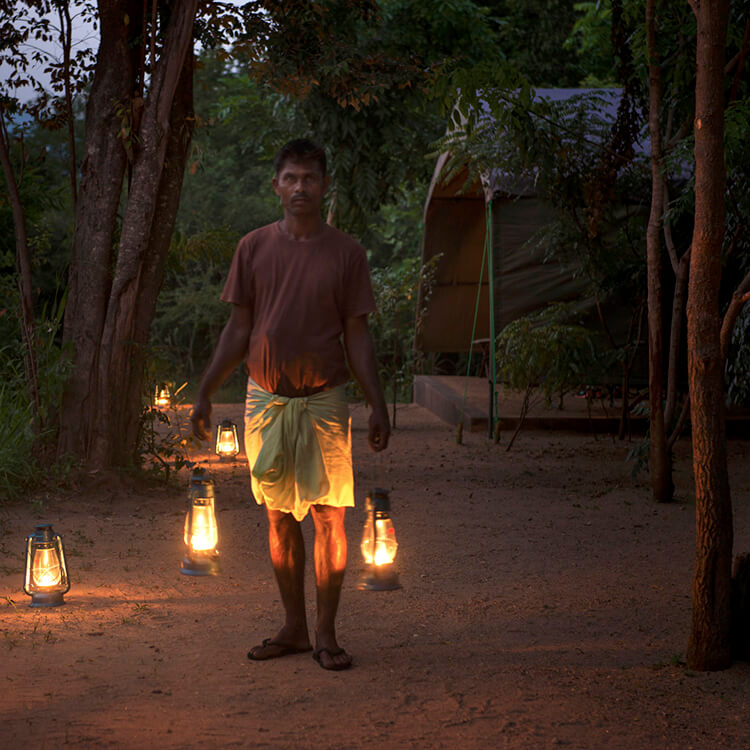 lighting in yala national park accommodaion