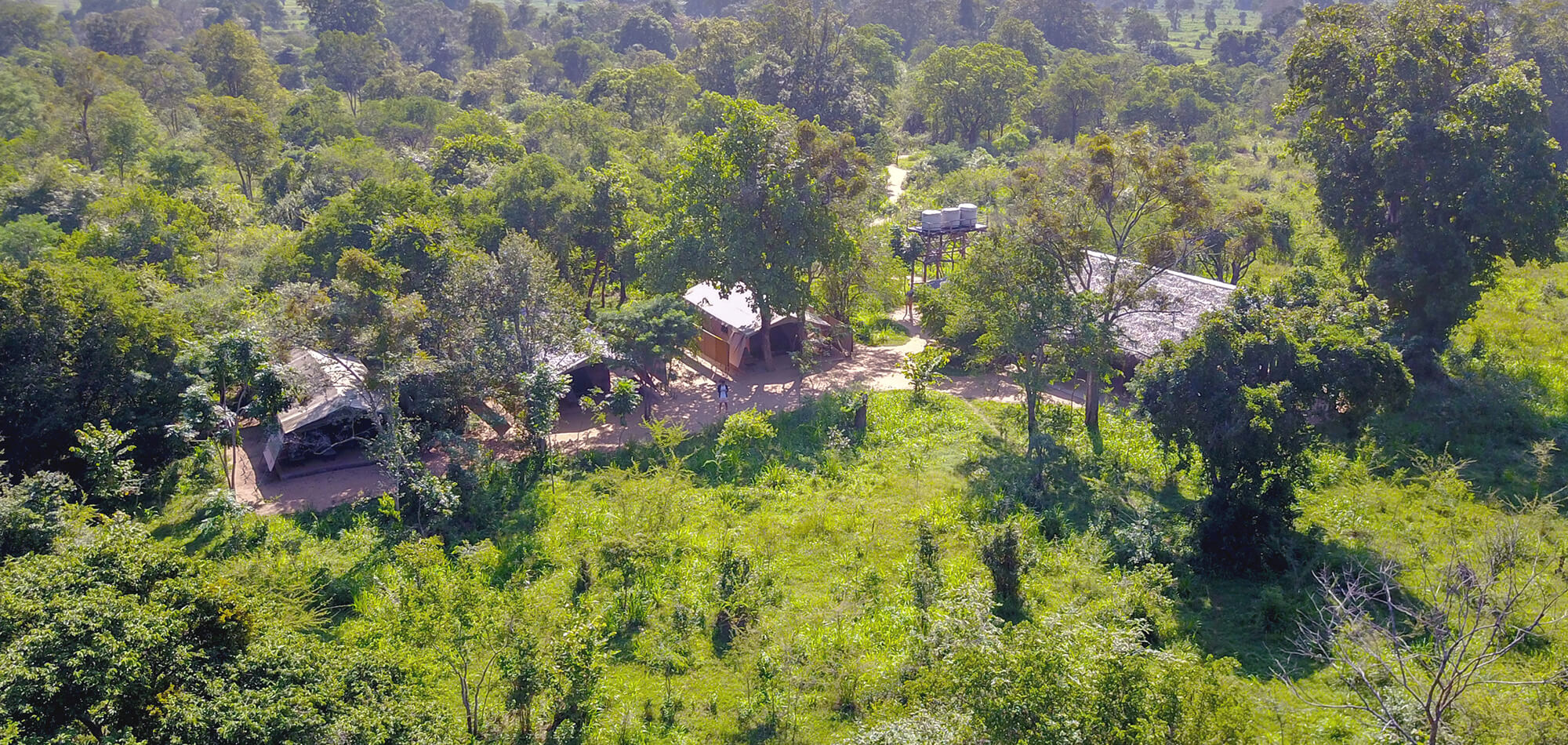 places to stay in yala national park tree tops jungle lodge