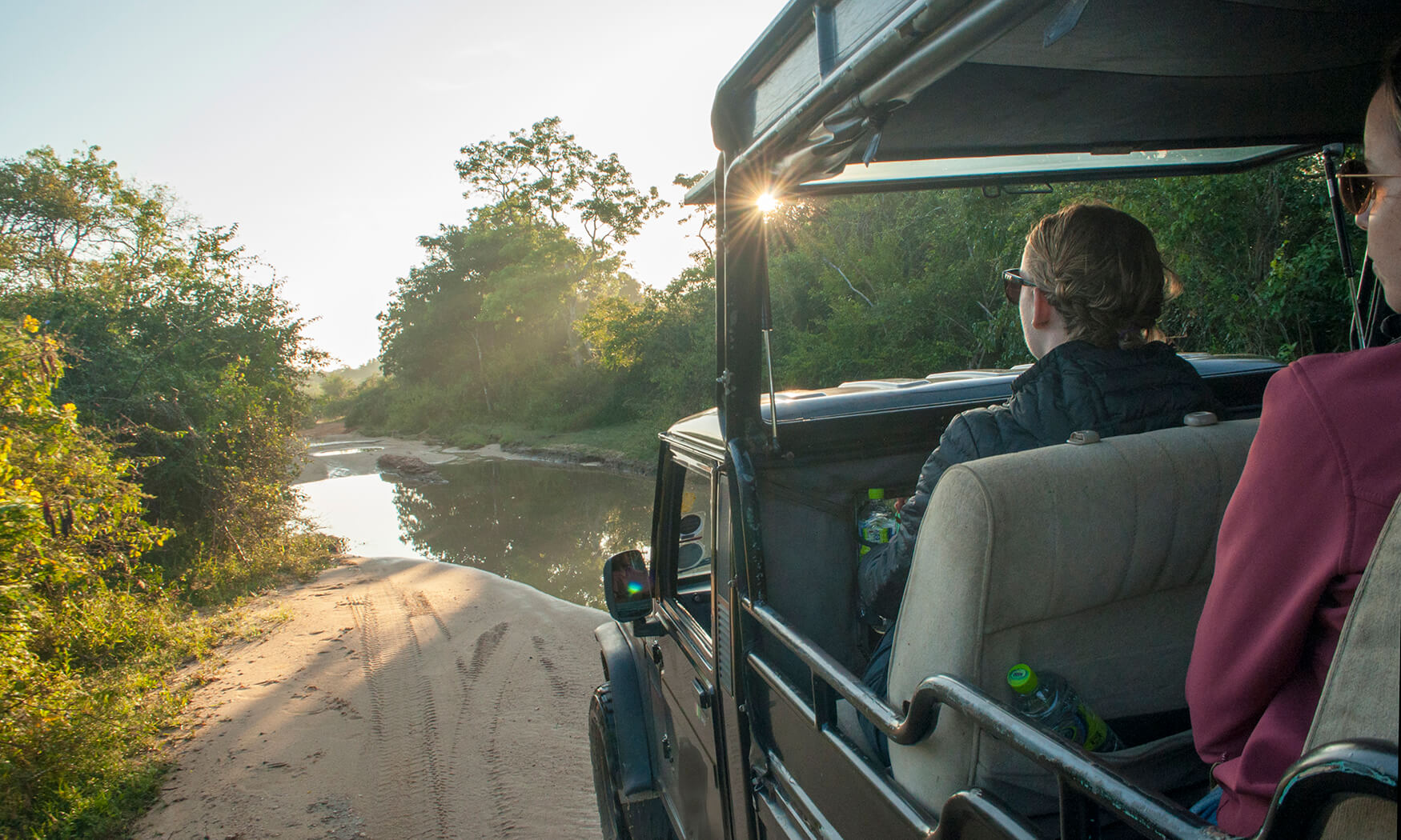 elephant yala national park