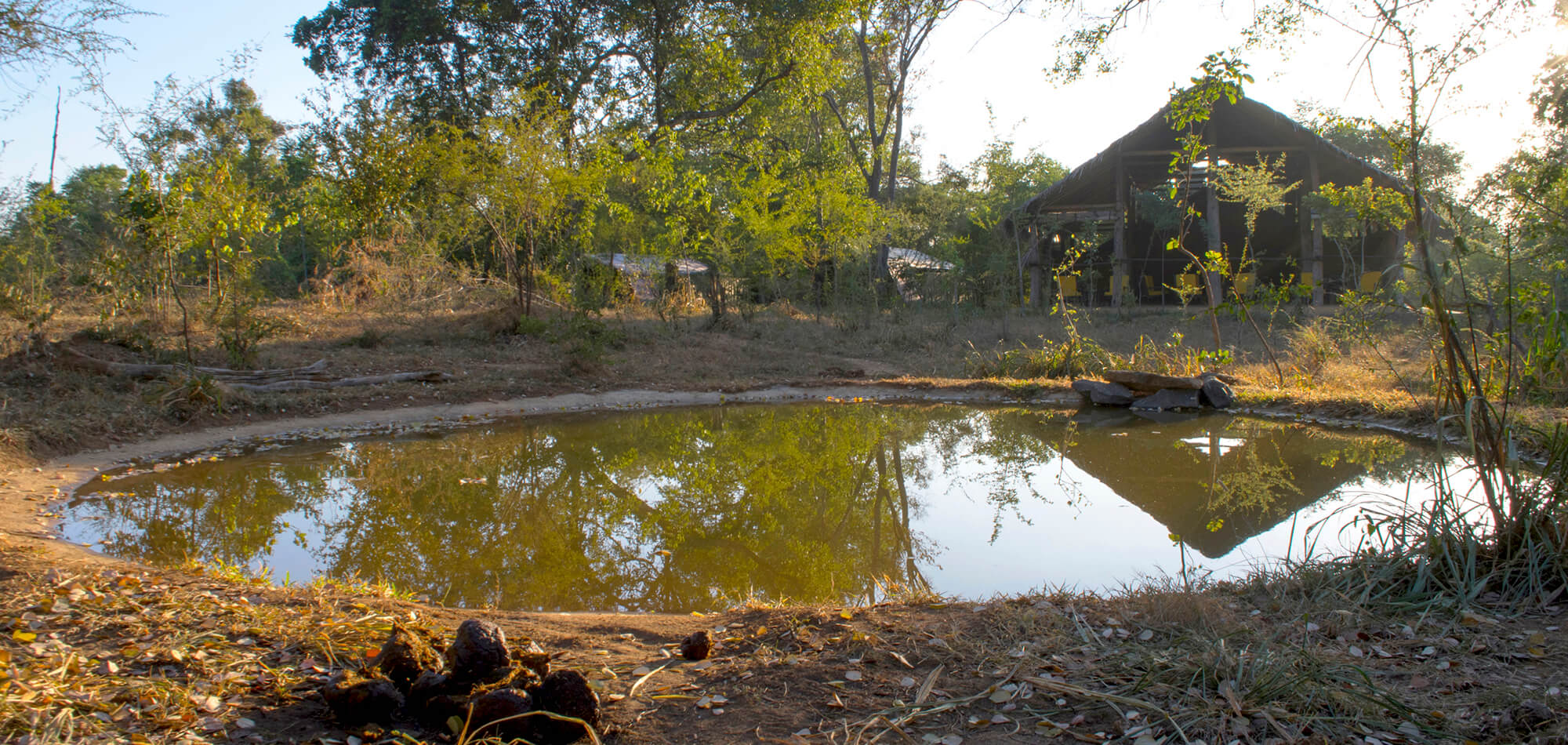 wide mudhut water hole tree tops jungle accommodation yala national park