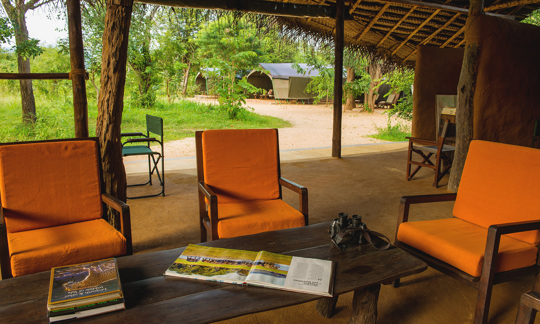 accommodation yala national park