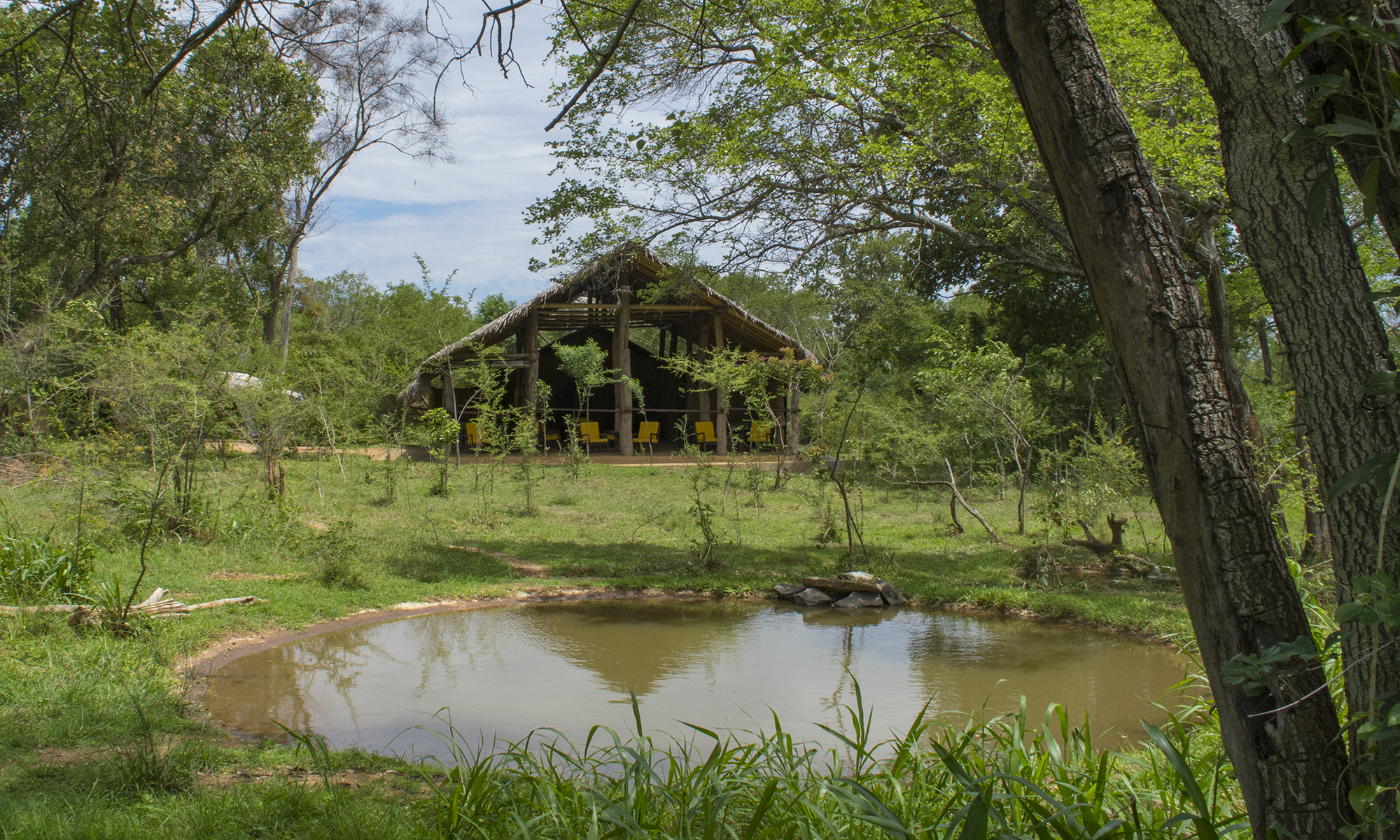 yala national park