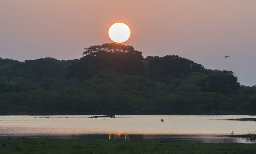 Gallery - Yala B1 - 01.2