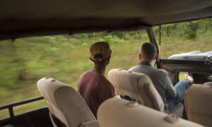Gallery - Yala B5 - 02