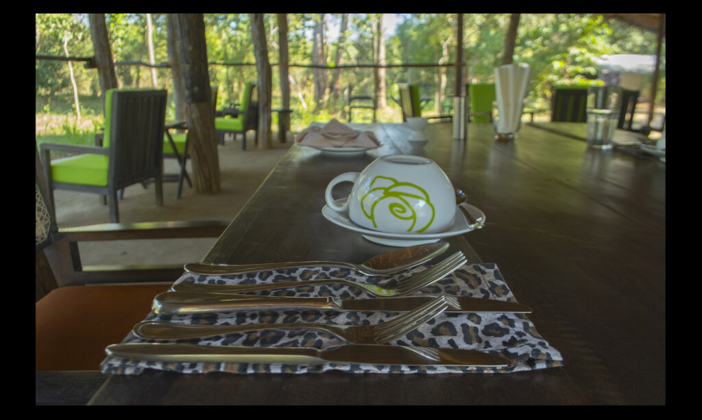 Gallery - food - 01